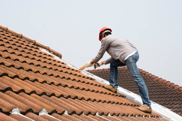 Best Asphalt Shingle Roofing  in Chapel Hill, TN